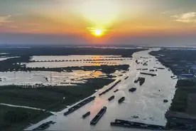 京杭大运河微山段船只穿梭 一派繁忙运输景象图片