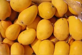 芒果上有黑色斑点 能吃吗图片