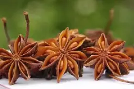 了解一下厨房里的中药材：八角茴香图片