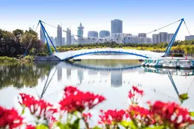 上海这些公园统统开放啦！停车攻略请收好图片