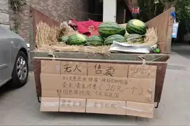 “20元/个，3天后返回”，这个无人西瓜摊火了！结局让人泪目图片