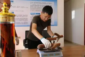 阿拉善“90后”小伙儿：养殖梅花鹿 走上致富路图片