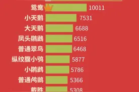 重 磅|“首都市民最喜爱的鸟”第二期月度排名来啦！图片