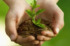 全联环境商会：水泥业无序发展冲击专业危废市场，建议工业危废以集中焚烧为主｜聚焦2023全国图片