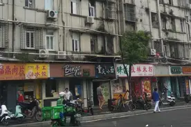 震惊！厦门一居民楼四楼外墙上，竟长着棵1米6的榕树，根须深入排水管……图片