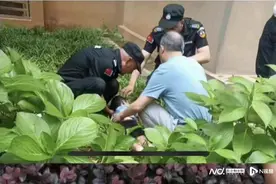 湖南郴州3岁男孩从17楼坠落，系被人推下？警方称在调查图片