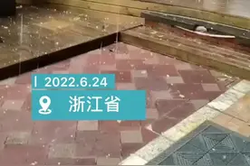 夏天浙江多地为何会天降冰球？天目新闻专访气象专家：水汽快速上升结成冰团图片