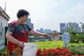 成都这个小区楼顶有个1100平米的共享“空中花园”社区居民实现了公园城市梦图片