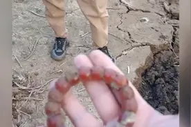 男子钓鱼将1万元手串掉水里，两年后河水干涸失而复得视频封面