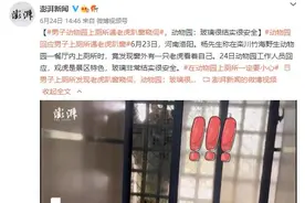 男子上厕所遇老虎趴窗窥伺 动物园：很安全图片