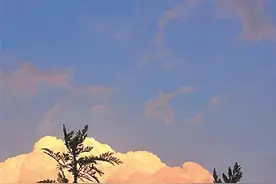 鸟窝·老房东图片