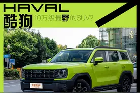 坦克300平替！哈弗又出神车：10万级最野的SUV？图片