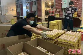 河北武强开启养殖新模式“90后”小伙自动化养鸡奔上致富路图片