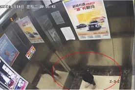 杭州21个月女童被保姆遗留电梯致坠亡，警方刑事立案侦查图片