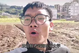 云南大学生耕地宣传母校被吐槽招生“减”章，当事人：毕业后会回农村图片