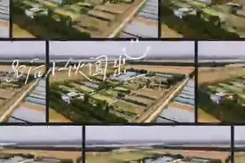 正青春丨张明伟：80后小伙闯出致富“金”“农”路图片