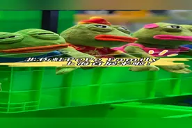 上海悲伤蛙首展教你反EMO图片