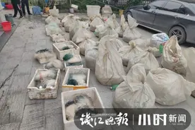 杭州警方抓到23名嫌疑人，他们在禁渔期疯狂捕捞，现场缴获的鱼就有200多公斤图片