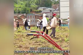 云南农大学生这段耕田视频火了 他希望学好专业助力家乡发展图片