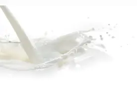 网红牛奶不合格，麦趣尔跌停！深交所发关注函，消费者：孩子天天喝图片