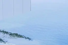 蛇口，深港接轨的第一站图片