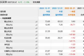 国元证券交易软件故障未及时报告被发警示函，一季度亏损1.2亿图片