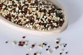 藜麦竟然不是麦？一篇文章带你全面了解藜麦图片