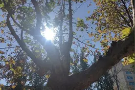 夜读丨这是我见过的最好的生活态度图片