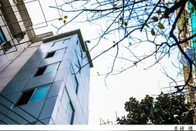 政府搭台、强企携手，七宝镇又将加装16台电梯图片