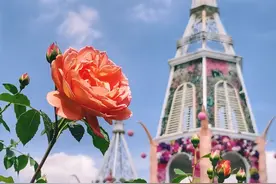 好久不见~奇迹花园正式复园，免费预约逛园子图片