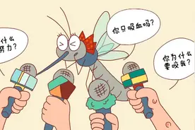 午FUN丨蚊子为什么独宠你？一起来看看蚊子是怎么吸血的图片