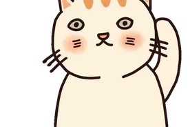 找工作吗？厦门这些单位招人啦→图片