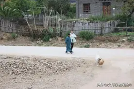 “白鸽”不忘归巢：为报答养父，“95后”女孩放下工作买房车，带着爸爸游中国……图片