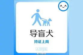 收藏！最新铁路限带物品指南图片