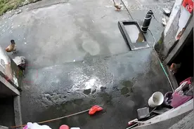 广东90岁老奶奶持棍激战大蛇，孙女：保护了我和小孩图片