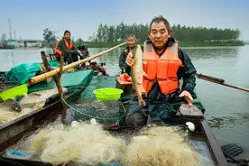 南四湖开湖捕鱼图片