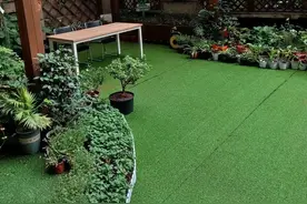 大龄单身青年交友难？这个社区“相亲角”来帮忙图片