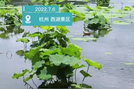 杭州西湖“打捞神器”又双叒叕升级了！6个国家实用新型专利证书来护航图片