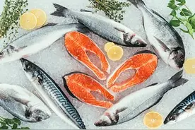 春季最肥美的五种鱼图片