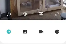 猫被猫笼夹死商家只愿赔200元，商家：是她安装的问题图片