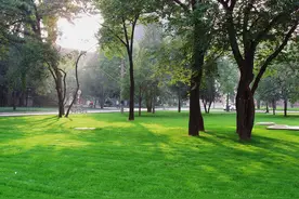 一起读课文丨《永久的生命》图片