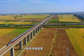 从“亚洲最大”火车站出发，感受京广高铁“加速度”图片