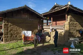 泸沽湖最后的摩梭马帮：养马仅余百户，“马脚子”屈指可数图片