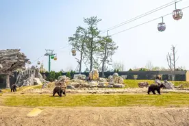 欧乐堡动物王国“萌宠奇妙夜”开启夏日夜游狂欢图片