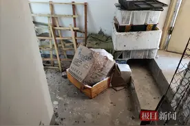 极目帮办｜楼上养鸽子，楼下居民苦不堪言，记者介入促使当事双方协商解决图片