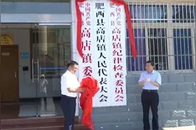 肥西这两地撤乡设镇图片