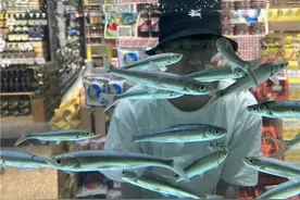 799元/公斤！云南特有的这种鱼重返餐桌，你想尝尝吗图片