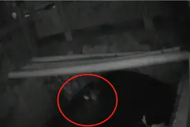 一男子为逃避处罚，竟在交警面前猛喝臭水沟的水……图片