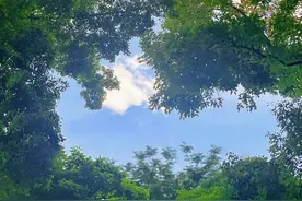 夜读｜一切都会过去，好的人生不慌不忙图片