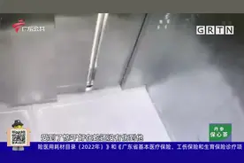 广州：水律蛇闯进公司电梯 员工受惊吓逃离视频封面